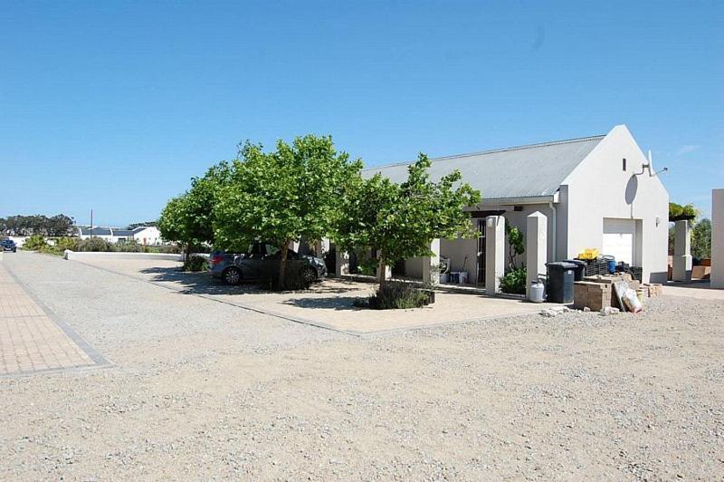 Maison d'hôtes Longacre Olive & Vineyard Estate à Langebaan Extérieur photo